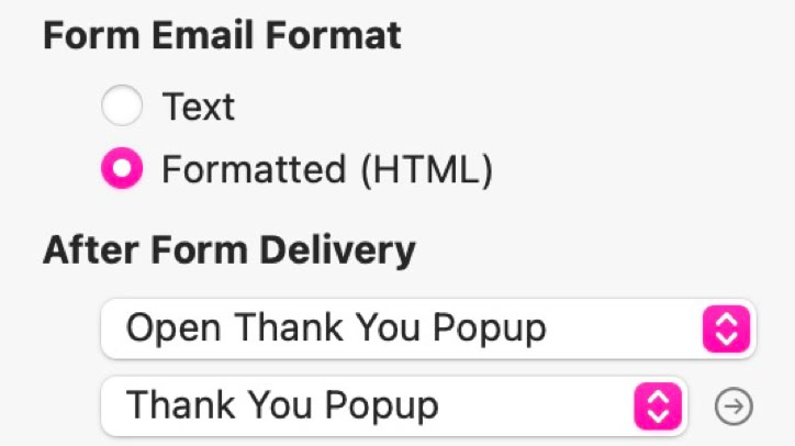 Form settings with options for email format and post-submission actions.