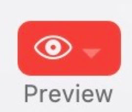 Red button with an eye icon and the word "Preview" below.