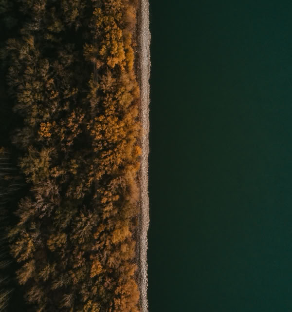 Aerial view of a forest with autumn foliage next to a body of water.